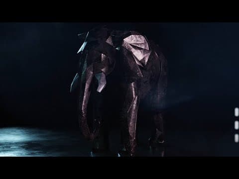 Seeing the Bigger Picture of Life