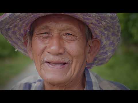 The Spiritual Dimension